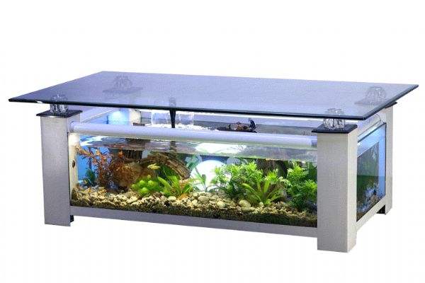 文件:Fish table.jpg