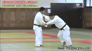 文件:Dwy 1.gif