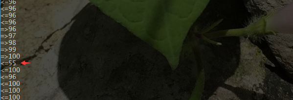 文件:Test Thread ts1.png