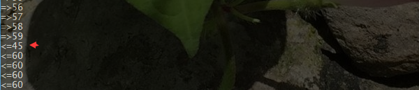 文件:Test Thread ts2.png