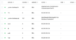 Wildcard-dns.png