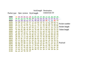 Client hello.webp