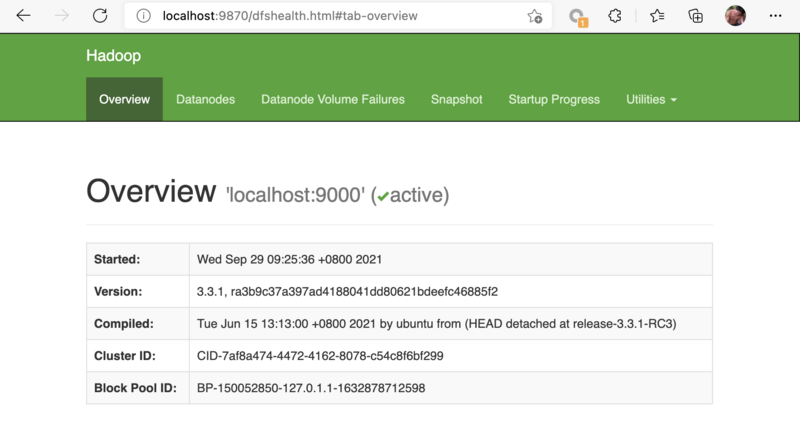 文件:Hadoop-9870.png