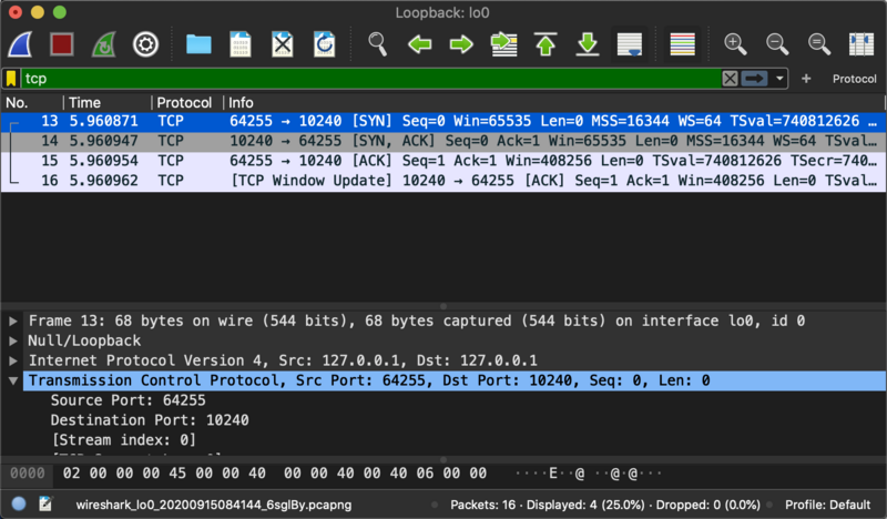 文件:Wireshark-lo-1.png