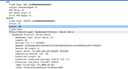 Server hello packet.png
