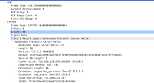 Server hello packet.png