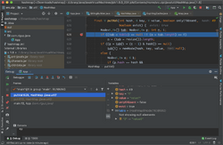 Intellij-with-debuginfo.png