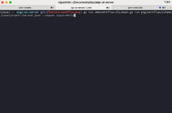 Workflow-cli.gif
