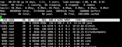 Java Cpus Top.png